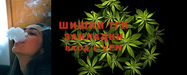 молекула духа Балахна
