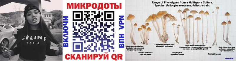 Галлюциногенные грибы Psilocybine cubensis  купить   блэк спрут рабочий сайт  Белебей 